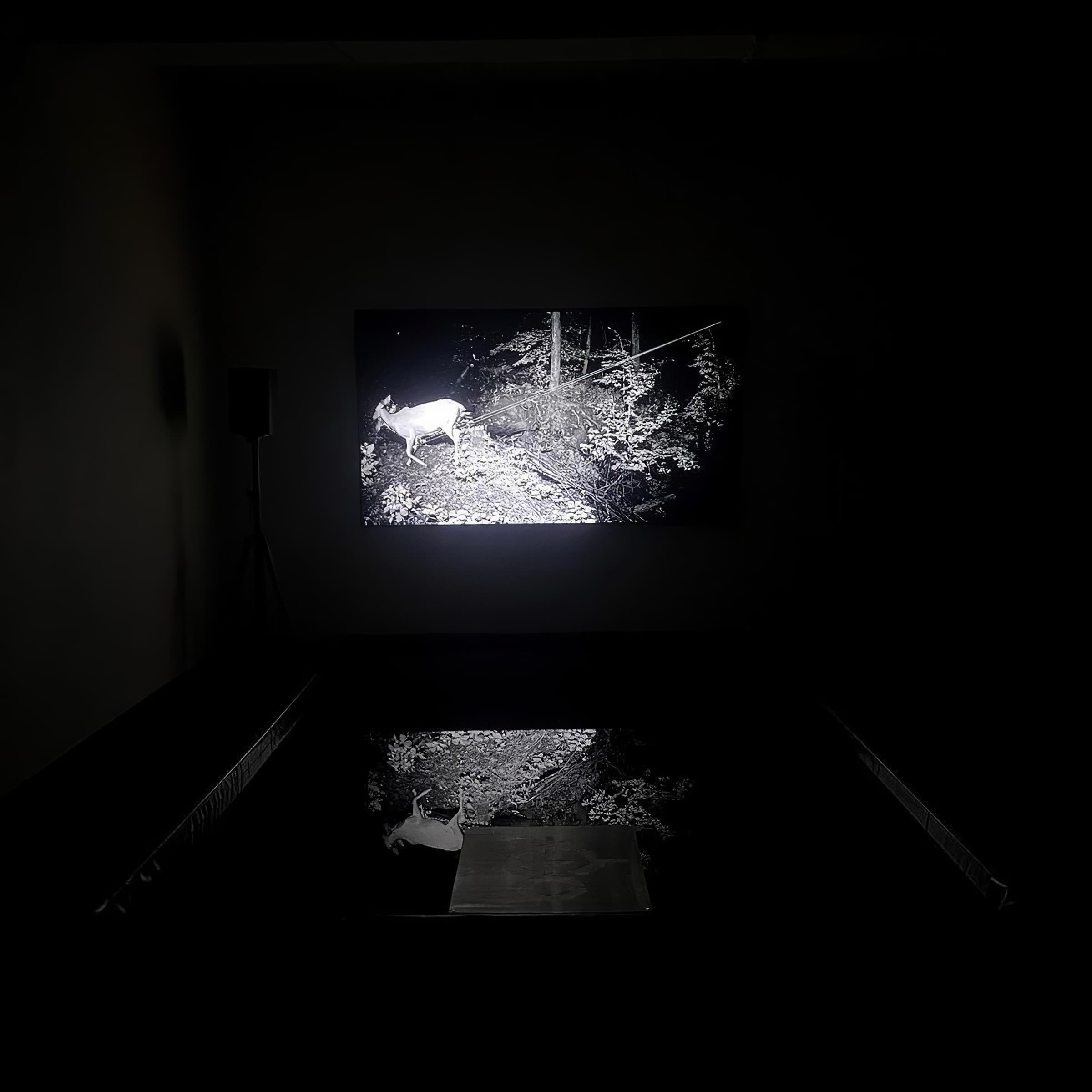 Still from the Haptic, Matter single-channel CGI video.