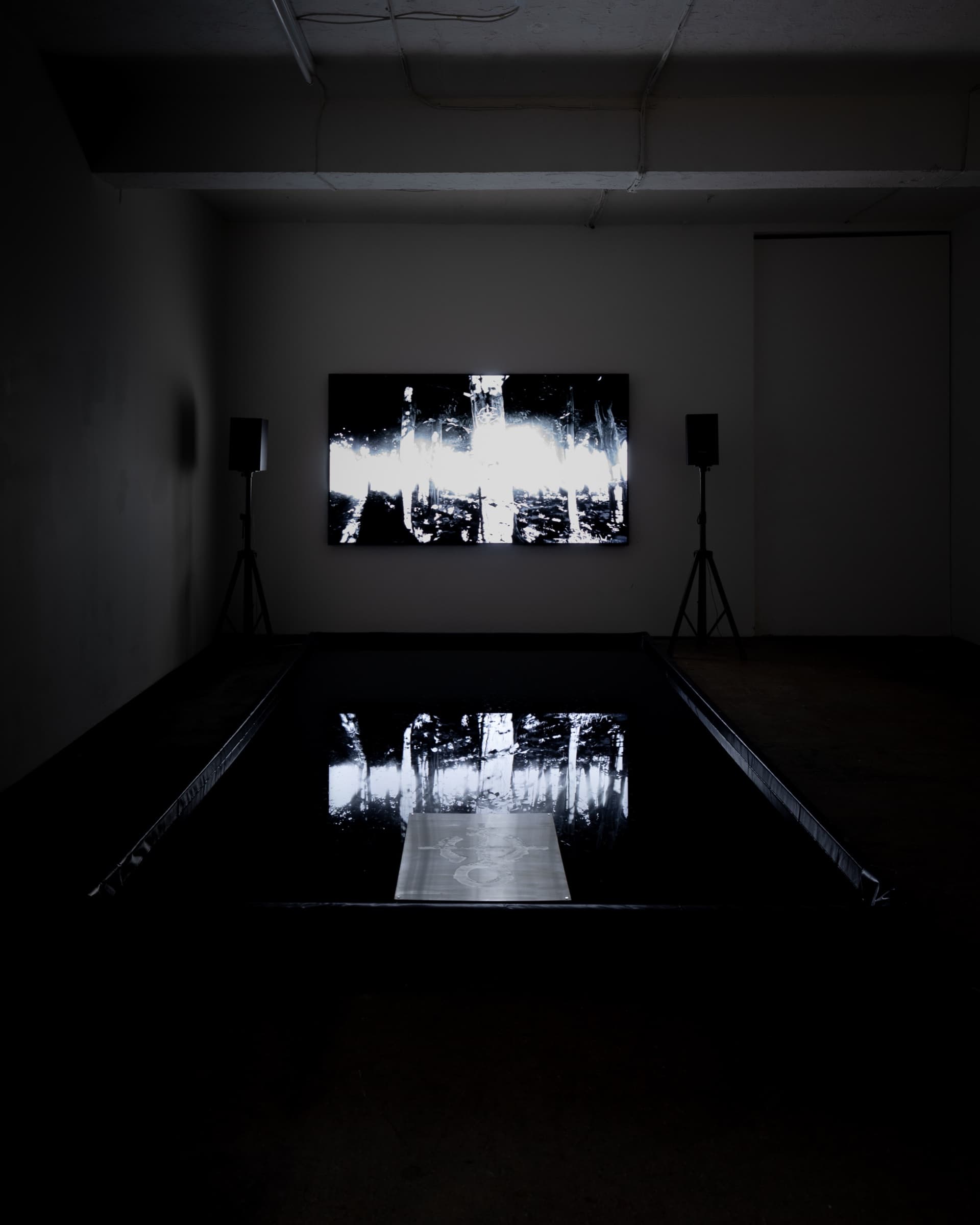 Haptic, Matter install view at Seventeen Gallery, portrait frame. Photo by BJ Deakin.