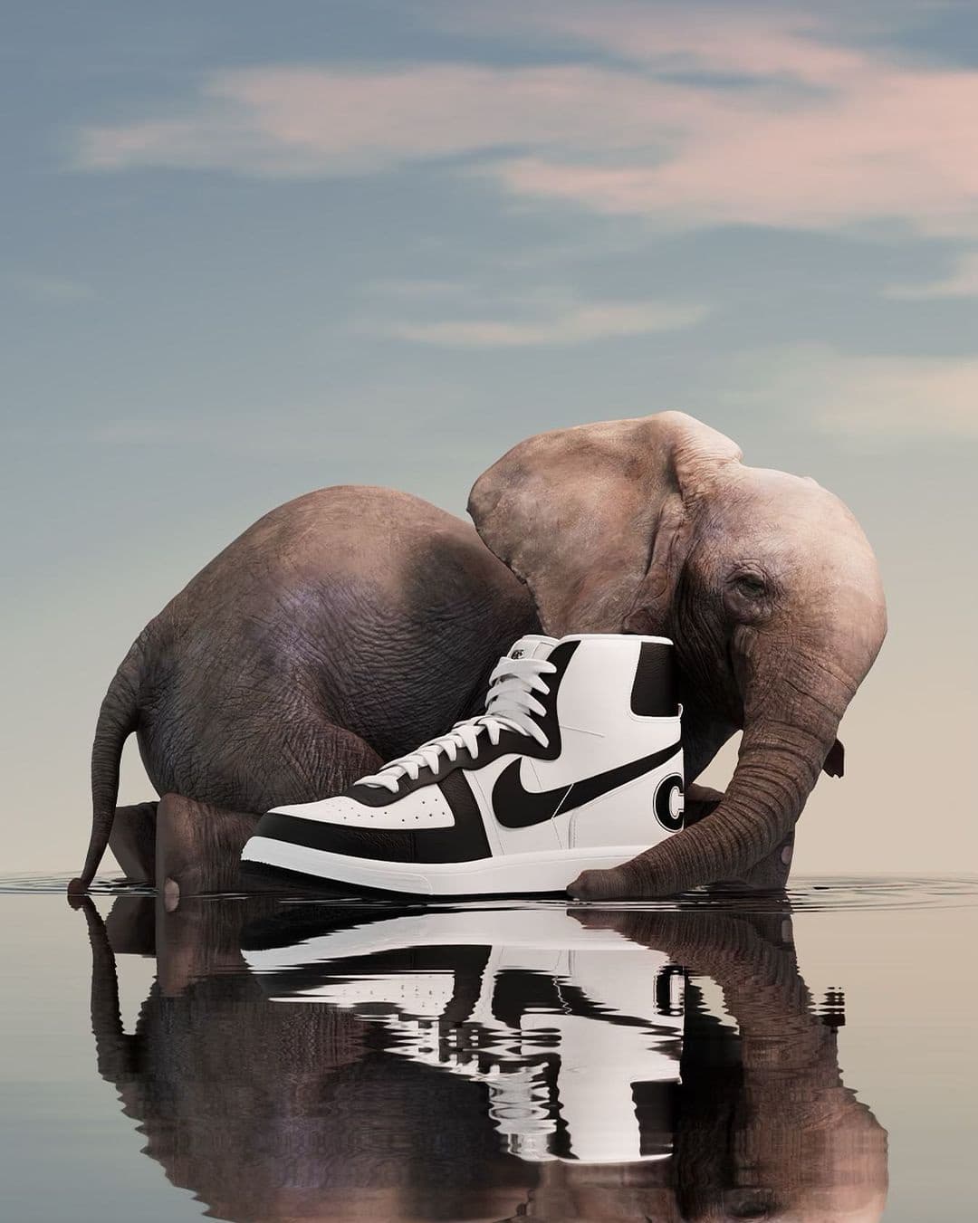 Comme des Garçons x Nike still, an elephant beside an oversized black-and-white Nike Terminator mirrored in water.
