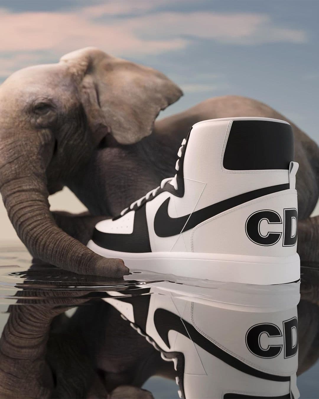 Comme des Garçons x Nike still, an elephant alongside a black-and-white Terminator reflected in water.
