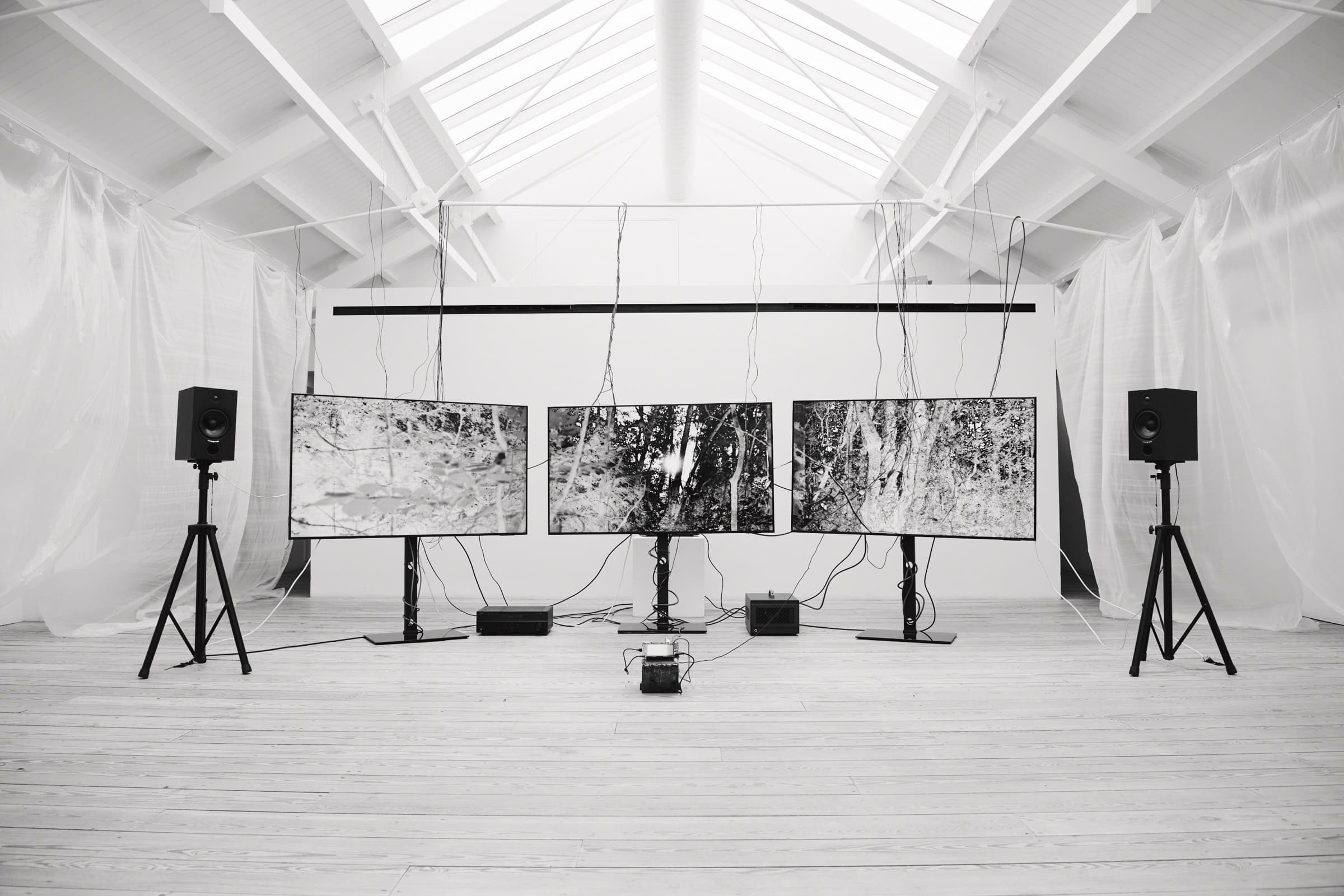On Data, As Dust install view at Young Space, wide frame. Photo by Benjamin Werner.