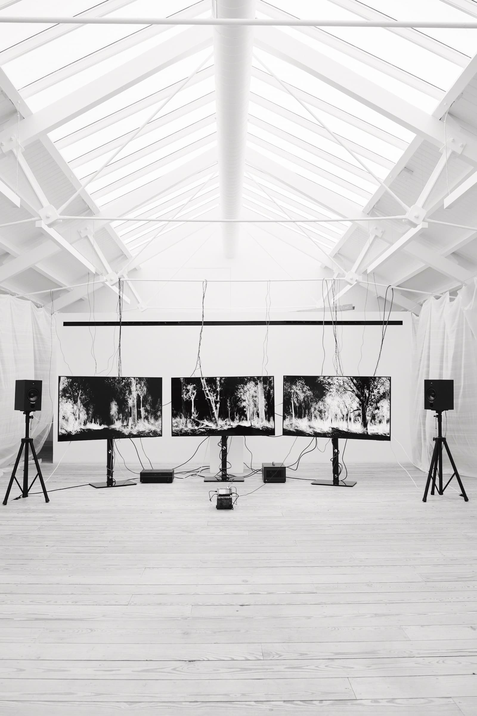 On Data, As Dust install view at Young Space, portrait frame. Photo by Benjamin Werner.
