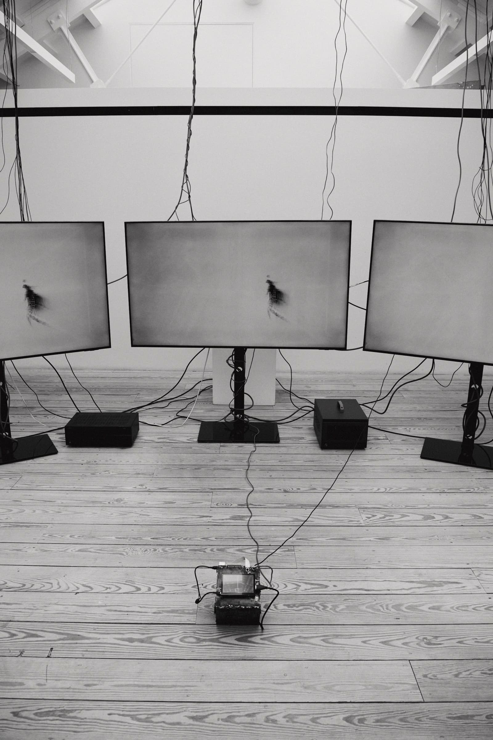 On Data, As Dust install view at Young Space, portrait frame. Photo by Benjamin Werner.