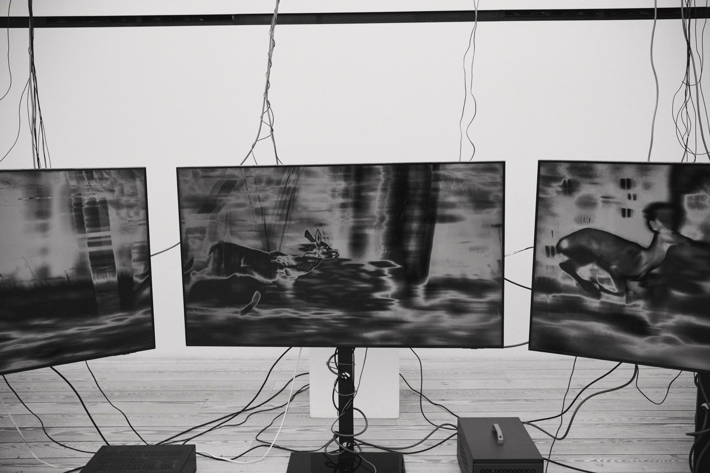 On Data, As Dust install view at Young Space, wide frame. Photo by Benjamin Werner.
